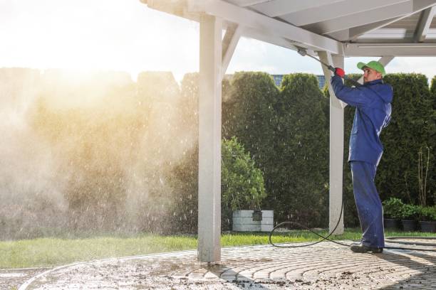 Best Patio and Deck Pressure Washing  in Braska City, NE